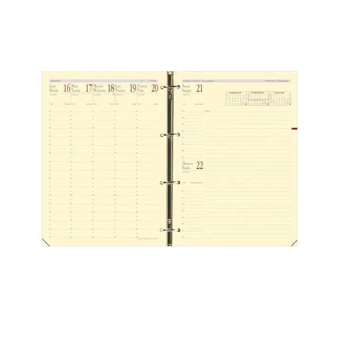Quo Vadis - Recharge Organiseur - 2026-2027 - Timer 29 Prestige - Semainier Planning - Français - 16 mois de septembre à décembre - 21x29,7 cm - Papier Clairefontaine ivoire