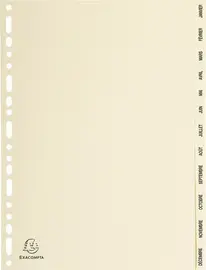 EXACOMPTA Intercalaires carte peau, A4, mensuel Jan-Déc
