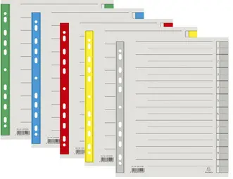 EXACOMPTA Intercalaires, A4 extra large, vert