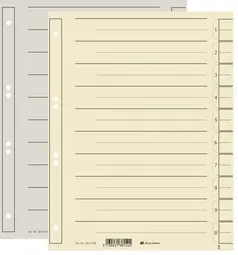EXACOMPTA Intercalaires, A4 extra large, chamois