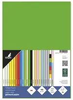 kangaro Papier multifonction, A4, 160 g/m2, vert