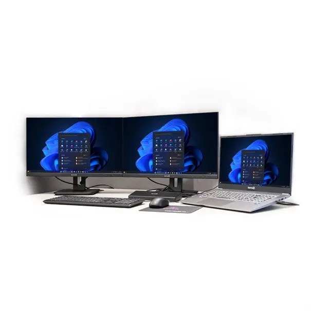 TERRA LCD/LED 2448W PV V4 IPS noir HDMI/DP/USB-C
