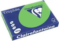 Clairefontaine Papier universel Trophée, A3, abricot
