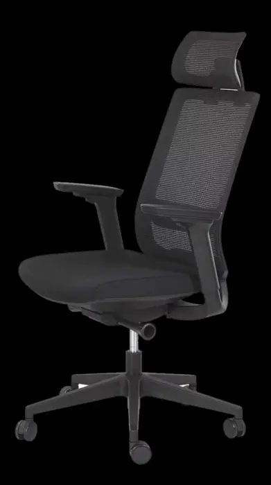 Tension automatique, anti-retour
Translation d'assise
Dossier filet
Support lombaire réglable, têtière réglable en hauteur
Accoudoirs 4D, manchettes « soft touch »
Coloris noir uniquement
Lift. Pied nylon, roulettes ø 60 mm