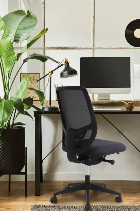 Support lombaire réglable
Dossier filet noir uniquement
Translation d'assise
Réglage de tension automatique
Pied nylon de série
