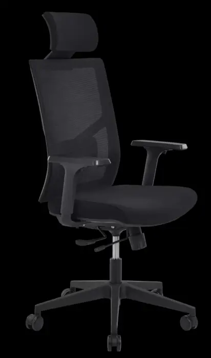 Tension réglable, anti-retour
Translation d'assise
Dossier filet
Support lombaire réglable, têtière réglable en tissu noir
Accoudoirs réglables 3 D, manchettes « soft touch »
Coloris noir uniquement
Lift. Pied nylon, roulettes Ø 60 mm