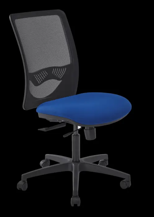 Tension réglable, anti-retour
Translation d'assise
Support lombaire réglable
Lift. Pied nylon.