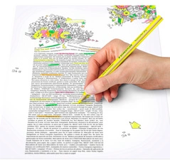 STAEDTLER Crayon surligneur à sec textsurfer dry, orange