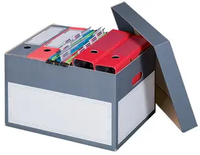 smartboxpro Boîte d'archives/transport S, à couvercle, gris