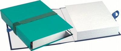 EXACOMPTA Chemise à dos extensible Balacron, vert