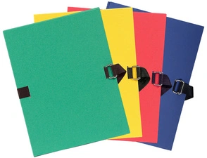 EXACOMPTA Chemise à dos extensible, A4, carton, vert clair