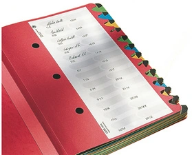 LEITZ Trieur Deskorganizer Color, format A4, 1- 12, noir
