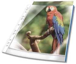 DURABLE Pochette perforée PREMIUM, A4, PP, bord rouge