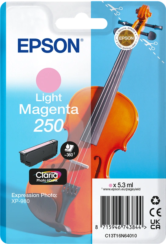 Epson 250 Cartouche d'encre (C13T16N64010)