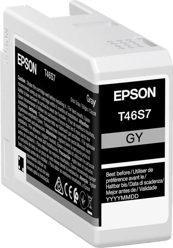 Epson T46S7 Gris Cartouche d'encre (C13T46S700)