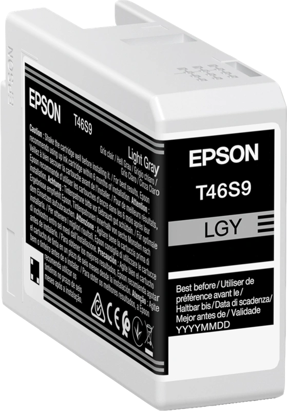 Epson T46S9 Gris (brillant) Cartouche d'encre (C13T46S900)