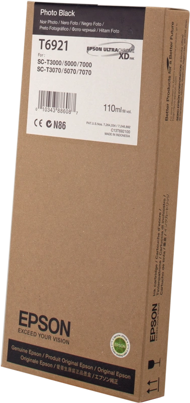 Epson T6921 Noir (photo) Cartouche d'encre (C13T692100)