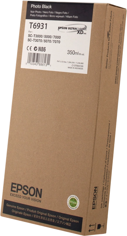 Epson T6931 Noir (photo) Cartouche d'encre (C13T693100)