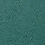 Miniature 7