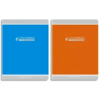 Cahiers CONQUERANT 90g/carte vernie/Piqûre 17x22 cm/ 140 pages SEYES