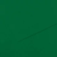 FABRIANO Feuille dessin couleur 50 x 65 cm Tiziano 160g Vert foncé