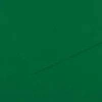 FABRIANO Feuille dessin couleur 50 x 65 cm Tiziano 160g Vert foncé