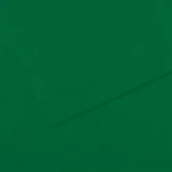 FABRIANO Feuille dessin couleur 50 x 65 cm Tiziano 160g Vert foncé