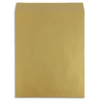 BONG Boîte de 100 pochettes kraft 90g pour radiographie non gommée format 380x450mm