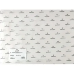 CANSON Feuille de papier buvard 250g 50x65cm Blanc Ref-91123