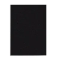 FELLOWES Boîtes de 25 couvertures DELTA format A4 Noir 5373801