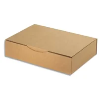 Boîte postale en carton simple cannelure Havane - Dimensions : 31 x 21.5 x 7 cm