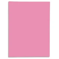 EXACOMPTA Paquet de 50 chemises 1 rabat SUPER 250 en carte 210 grammes Rose