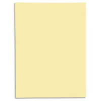 EXACOMPTA Paquet de 50 chemises 1 rabat SUPER 250 en carte 210 grammes Jaune