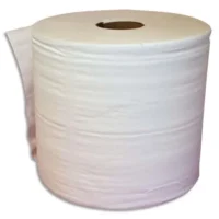 Lot de 2 Bobine d'essuyage 2 plis 1000 formats 30 x 21 cm - L300 m, bobine D25 cm Blanc Eco