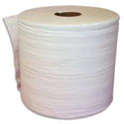 Lot de 2 Bobine d'essuyage 2 plis 1000 formats 30 x 21 cm - L300 m, bobine D25 cm Blanc Eco