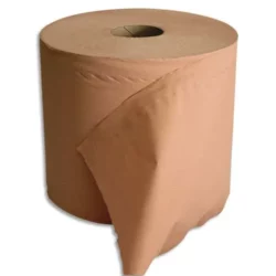 Lot de 2 Bobine d'essuyage 2 plis 1000 formats 30 x 21 cm - L300 m, bobine D25 cm chamois Eco