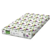 INAPA Ramette 125 feuilles papier extra Blanc satiné PRO DESIGN A3 250G CIE 168