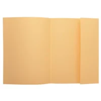 EXACOMPTA Paquet 100 chemises 1 rabat carte 160g SUPER 180. Coloris bulle