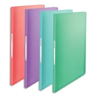 ESSELTE Colour'Breeze Porte-vues, 40 pochettes, A4, assorti de couleurs, 626229