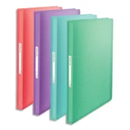 ESSELTE Colour'Breeze Porte-vues, 80 pochettes, A4, assorti de couleurs, 626239