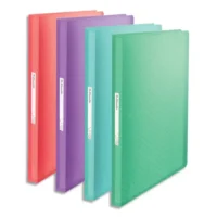 ESSELTE Colour'Breeze Porte-vues, 80 pochettes, A4, assorti de couleurs, 626239