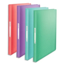 ESSELTE Colour'Breeze Porte-vues, 80 pochettes, A4, assorti de couleurs, 626239