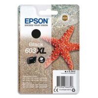 EPSON Cartouche Jet d'Encre Black XL "Etoile de Mer'' 603 - C13T03A14010