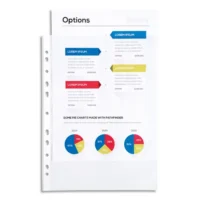 EXACOMPTA Sachet de 100 pochettes perforées A4 en polypropylène lisse 6/100e cristal