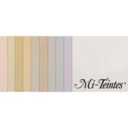 CANSON Manipack 10 feuilles MI-TEINTES® 50X65 160g couleurs pastel