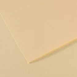 CANSON Feuille MI-TEINTES® 50X65 160g ivoire 111