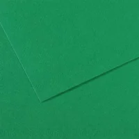 CANSON Feuille MI-TEINTES® 50X65 160g vert billard 575