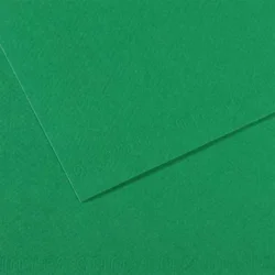 CANSON Feuille MI-TEINTES® 50X65 160g vert billard 575