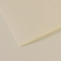 CANSON Feuille MI-TEINTES® 50X65 160g lys 110