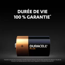 DURACELL Piles alcalines D Plus 100%, 1.5V LR20 MN1300, lot de 2 piles